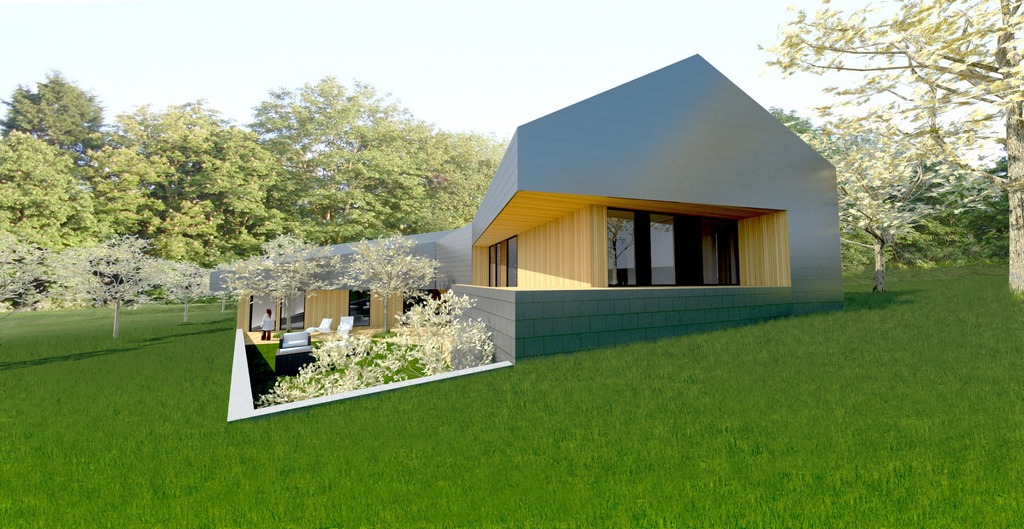 K HOUSE / ZALEWSKI ARCHITECTURE GROUP