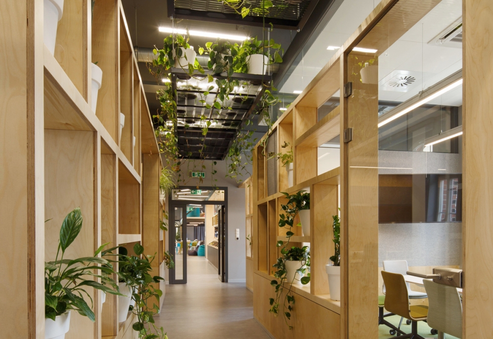 The Software House offices / Zalewski Architecture Group / photo: T. Zakrzewski.